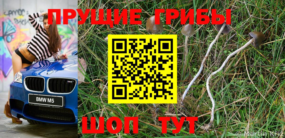 Орёл  Галлюциногенные грибы Psilocybe  Вход с VPN 