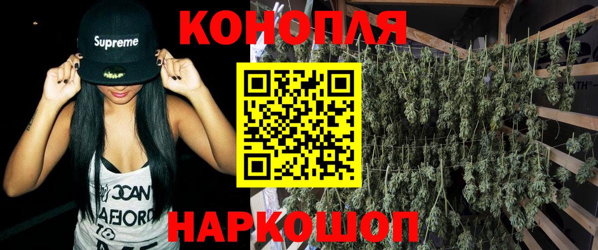 Конопля конопля Орёл